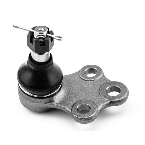 Rotula Inferior Quest 1993-2003