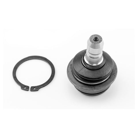 Rotula Inferior Beat 2018