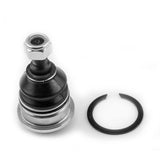 Rotula Inferior Tiburon 1997 1998 1999 2000 2001