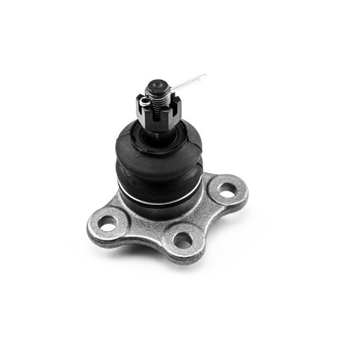 Rotula Superior Passport 1996 1997 1998 1999 2000 2001 2002