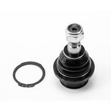 Rotula Inferior Transit 2007-2017