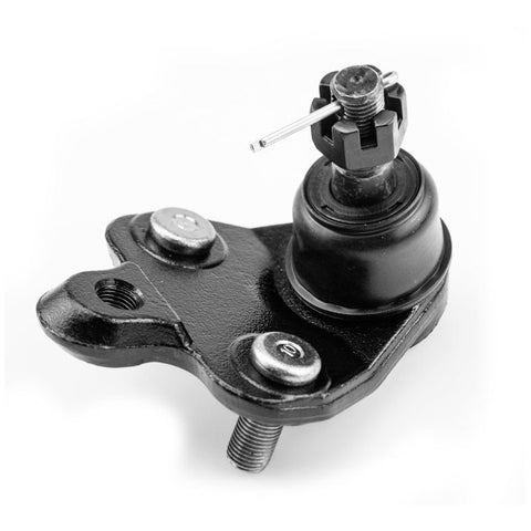 Rotula Inferior Matrix 2003-2013