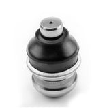 Rotula Inferior Grandis 2007 2008 2009