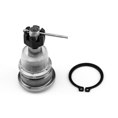 Rotula Inferior Scala 2010 2011 2012 2013