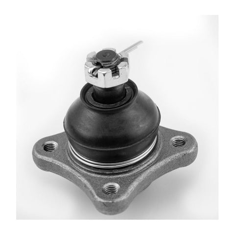 Rotula Superior Montero 2002-2017