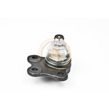 Rotula Inferior Contour 1995 1996 1997 1998 1999 2000 2001