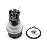 Rotula Inferior Grand Cherokee 1999-2004