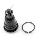 Rotula Inferior Maxima 2000 2001 2002 2003